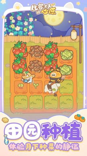 住客大人的心愿游戏截图5