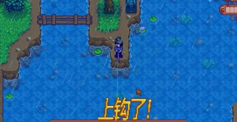 星露谷夜市钓鱼划算吗