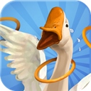 我用圈圈搂大鹅​​​​​​​